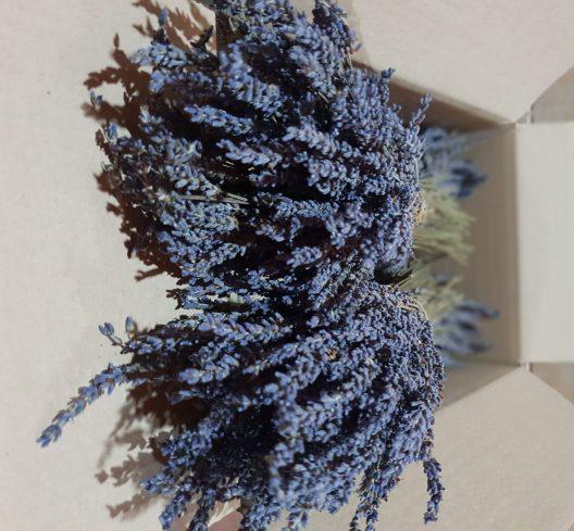 Greek Dried Lavender Bunches Certified Organic 30-32 cm | Organic | Harvest July 2023