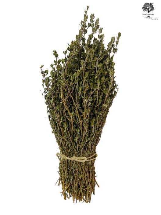 Wild Greek Dried Thyme Whole Bunch | Exceptional Quality Harvest June 2023