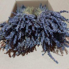 Greek Dried Lavender Bunches Certified Organic 30-32 cm | Organic | Harvest July 2023