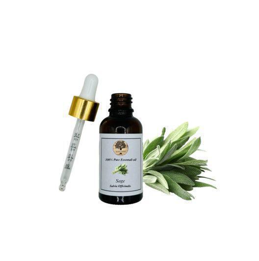 100% Pure Sage Oil Therapeutic Grade Salvia Officinalis | Production July 2023