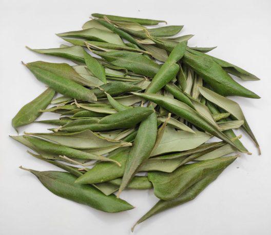 Greek Dried Olive Leaves | Harvest 2024 | Αntidiabetic Tea