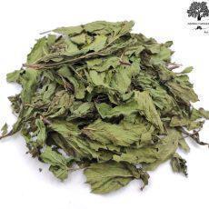 Dried Spearmint Whole Leaves | Class A | Mentha Spicata | Harvest June 2023