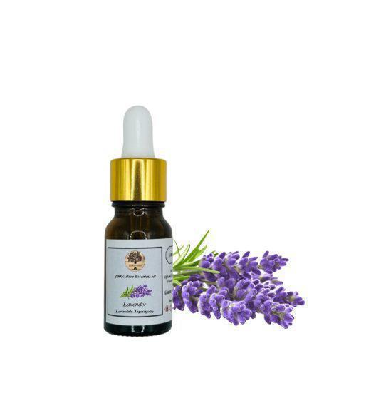 100% Pure Organic Greek Lavender Essential Oil Undiluted | Therapeutic Grade | Production July 2023