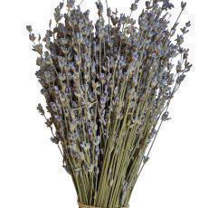 Certified Organic Greek Dried Lavender Bunches | Harvest July 2023