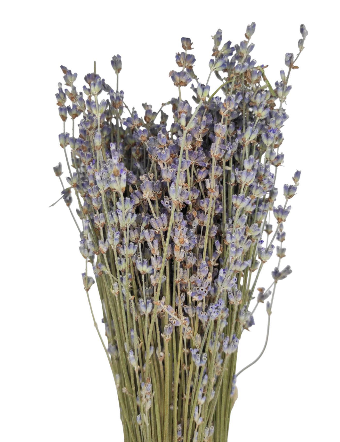 Certified Organic Greek Dried Lavender Bunches | Harvest July 2023 - Agora  Market