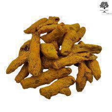Dried Whole Turmeric Root | Curcuma Longa