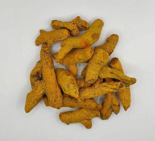 Dried Whole Turmeric Root | Curcuma Longa