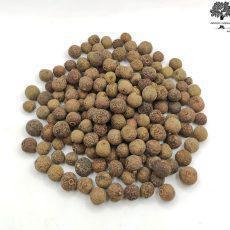 Allspice Pimento Whole Seeds | Pimenta dioica