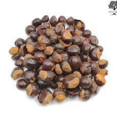 Dried Guarana Seeds | Paullinia Cupana