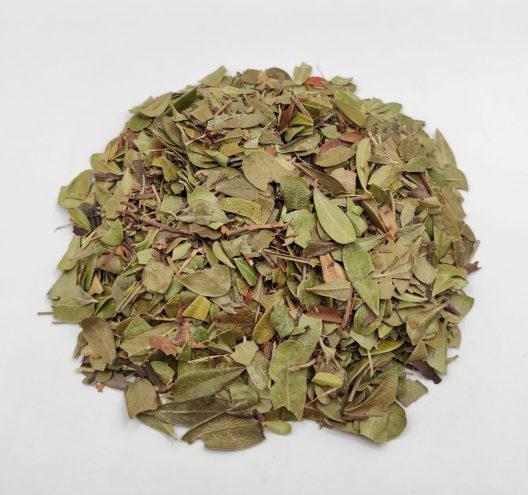 Dried Bearberry Leaves | Arctostaphylos uva-ursi