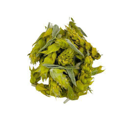 Certified Organic Greek Mountain Tea Cut Sideritis Scardica | Harvest June 2023