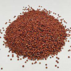 Dried Red Quinoa Seeds Superfood | Chenopodium quinoa