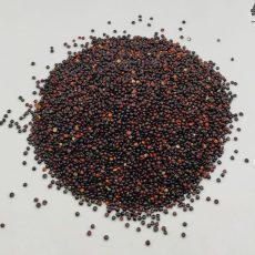 Dried Black Quinoa Seeds Superfood | Chenopodium quinoa