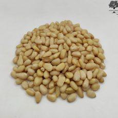 Dried Pine Nut Kernels Natural and Very Fresh | Premium Quality