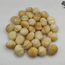 Raw Macadamia Nuts | Premium Quality