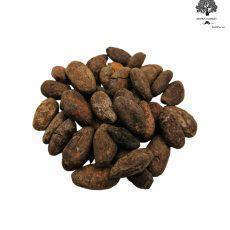 Roasted Cacao Beans | Theobroma Cacao