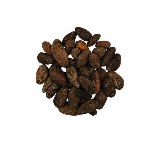 Roasted Cacao Beans | Theobroma Cacao