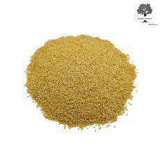 Dried Amaranth Grain | Amaranthus