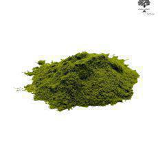 Barley Grass Powder | Hordeum Vulgare