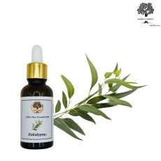 100% Pure Eucalyptus Essential Oil | Eucalyptus Globulus